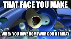 Sonic is TRIGERRED | THAT FACE YOU MAKE; WHEN YOU HAVE HOMEWORK ON A FRIDAY | image tagged in sonic is trigerred | made w/ Imgflip meme maker