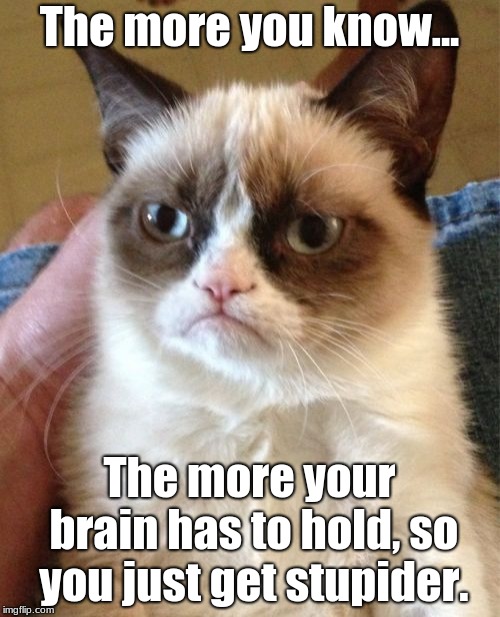 Grumpy Cat Meme | The more you know... The more your brain has to hold, so you just get stupider. | image tagged in memes,grumpy cat | made w/ Imgflip meme maker