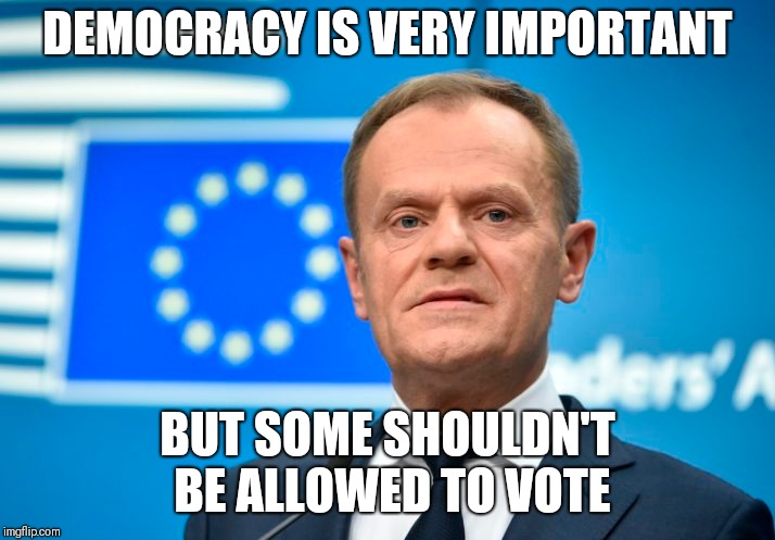 Donald Tusk Democracy | DEMOCRACY IS VERY IMPORTANT; BUT SOME SHOULDN'T BE ALLOWED TO VOTE | image tagged in democracy,european union,voting,poland,donald tusk,anti-democratic | made w/ Imgflip meme maker