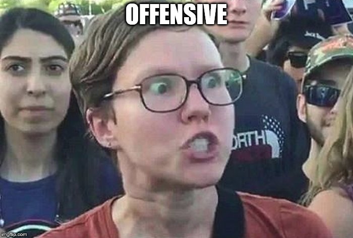 Triggered Liberal | OFFENSIVE | image tagged in triggered liberal | made w/ Imgflip meme maker
