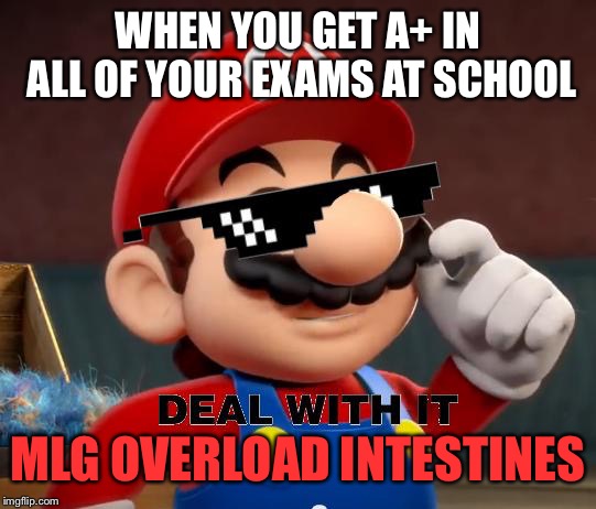 Mario Deal With It | WHEN YOU GET A+ IN ALL OF YOUR EXAMS AT SCHOOL; MLG OVERLOAD INTESTINES | image tagged in mario deal with it | made w/ Imgflip meme maker
