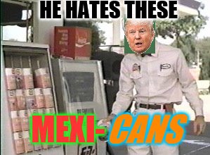He Hates These... | HE HATES THESE MEXI- CANS | image tagged in he hates these | made w/ Imgflip meme maker