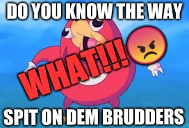 DO YOU KNOW THE WAY; WHAT!!!😡; SPIT ON DEM BRUDDERS | image tagged in ugandan knuckles | made w/ Imgflip meme maker