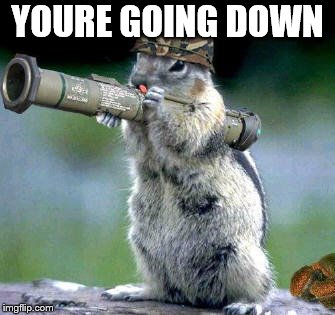Bazooka Squirrel Meme | YOURE GOING DOWN | image tagged in memes,bazooka squirrel | made w/ Imgflip meme maker