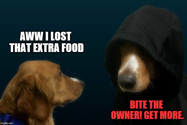 Evil dog | AWW I LOST THAT EXTRA FOOD BITE THE OWNER! GET MORE. | image tagged in evil dog | made w/ Imgflip meme maker