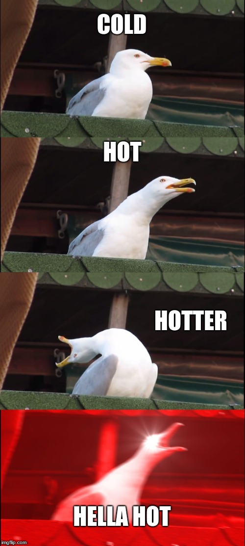 Inhaling Seagull | COLD; HOT; HOTTER; HELLA HOT | image tagged in memes,inhaling seagull | made w/ Imgflip meme maker
