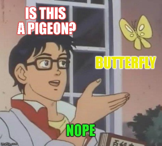 No, its a pigeon | IS THIS A PIGEON? BUTTERFLY; NOPE | image tagged in memes,is this a pigeon | made w/ Imgflip meme maker