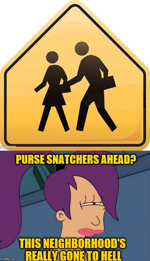 PURSE SNATCHERS AHEAD? THIS NEIGHBORHOOD'S REALLY GONE TO HELL | image tagged in memes,futurama leela,street signs,funny signs | made w/ Imgflip meme maker