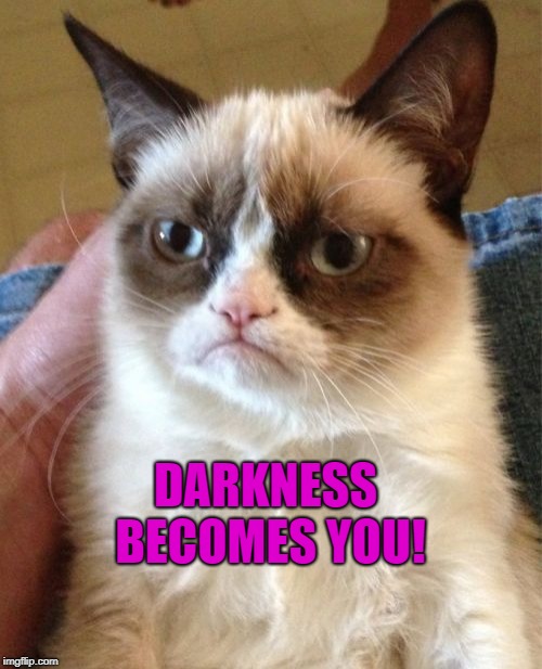 The darker, the better...  | DARKNESS BECOMES YOU! | image tagged in memes,grumpy cat,funny cat memes,grumpy cat insults | made w/ Imgflip meme maker