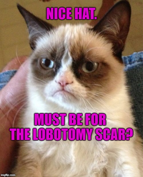 Good guess. Spot on.  | NICE HAT. MUST BE FOR THE LOBOTOMY SCAR? | image tagged in memes,grumpy cat,funny cat memes,grumpy cat insults | made w/ Imgflip meme maker