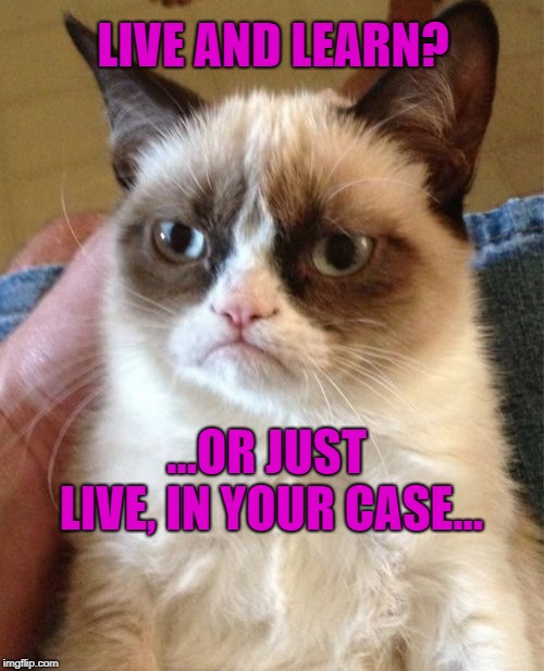 Live and learn, or die, whatever.  | LIVE AND LEARN? ...OR JUST LIVE, IN YOUR CASE... | image tagged in memes,grumpy cat,funny cats,insults,put downs | made w/ Imgflip meme maker
