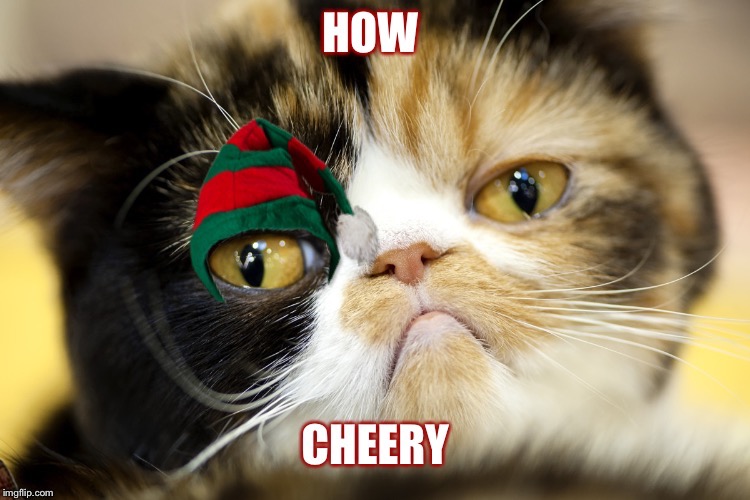 image tagged in scumbag | made w/ Imgflip meme maker