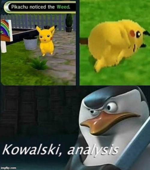 Another Kowalski, Analysis Meme | image tagged in analysis,kowalski analysis,pikachu noticed the weed | made w/ Imgflip meme maker