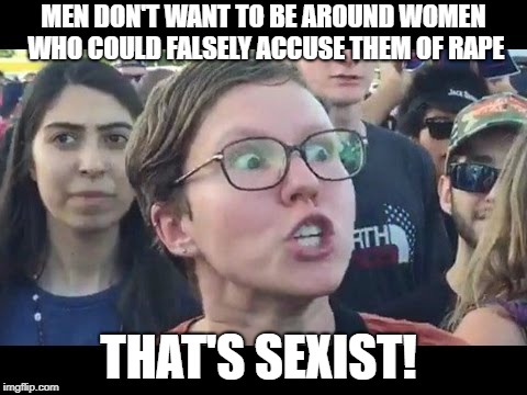 Angry sjw | MEN DON'T WANT TO BE AROUND WOMEN WHO COULD FALSELY ACCUSE THEM OF **PE THAT'S SEXIST! | image tagged in angry sjw | made w/ Imgflip meme maker