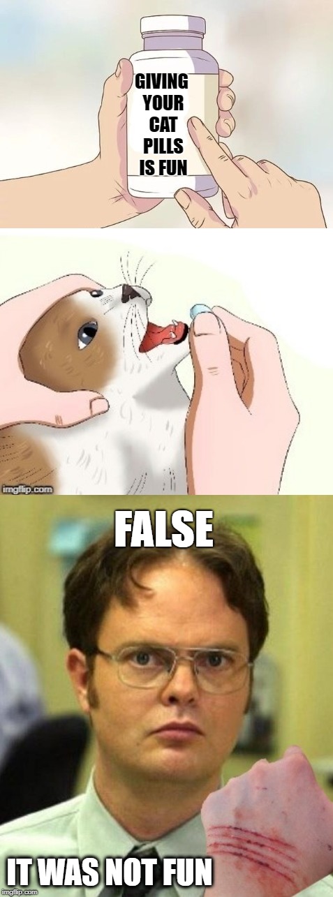 Sick cat | GIVING YOUR CAT PILLS IS FUN; FALSE; IT WAS NOT FUN | image tagged in funny memes,cat,cat memes,dwight schrute,scratch,depressed cat | made w/ Imgflip meme maker