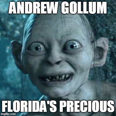 Gollum Meme | ANDREW GOLLUM; FLORIDA'S PRECIOUS | image tagged in memes,gollum,andrew gillum | made w/ Imgflip meme maker