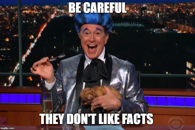 BE CAREFUL THEY DON'T LIKE FACTS | made w/ Imgflip meme maker