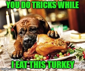 YOU DO TRICKS WHILE I EAT THIS TURKEY | made w/ Imgflip meme maker