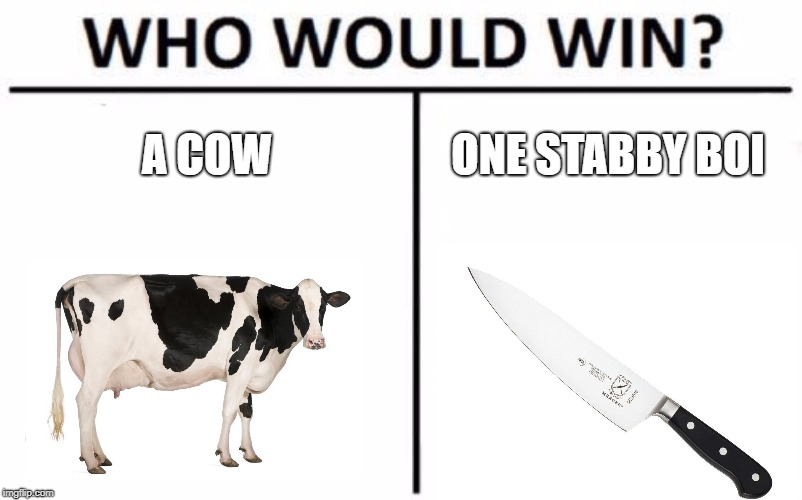Who Would Win? Meme | A COW; ONE STABBY BOI | image tagged in memes,who would win | made w/ Imgflip meme maker