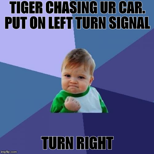 Success Kid | TIGER CHASING UR CAR. PUT ON LEFT TURN SIGNAL; TURN RIGHT | image tagged in memes,success kid | made w/ Imgflip meme maker