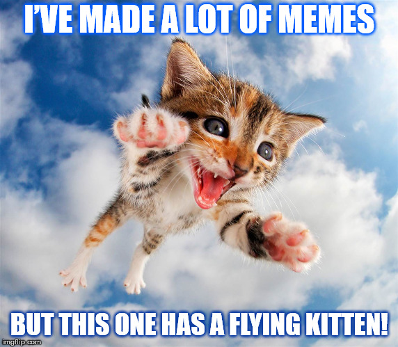 FLYING KITTEN FOR YOU! | I’VE MADE A LOT OF MEMES; BUT THIS ONE HAS A FLYING KITTEN! | image tagged in kitten,flying,flight,sky,clouds,meme | made w/ Imgflip meme maker