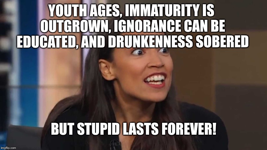 “Youth ages, immaturity is outgrown, ignorance can be educated, and drunkenness sobered, but stupid lasts forever.” | YOUTH AGES, IMMATURITY IS OUTGROWN, IGNORANCE CAN BE EDUCATED, AND DRUNKENNESS SOBERED; BUT STUPID LASTS FOREVER! | image tagged in alexandria ocasio-cortez,stupid,ignorance | made w/ Imgflip meme maker