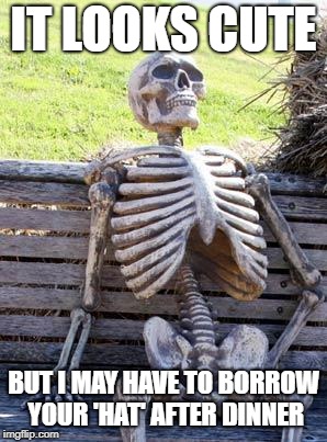 Waiting Skeleton Meme | IT LOOKS CUTE BUT I MAY HAVE TO BORROW YOUR 'HAT' AFTER DINNER | image tagged in memes,waiting skeleton | made w/ Imgflip meme maker