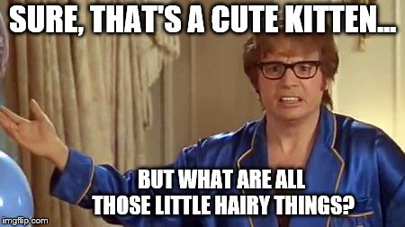 Austin Powers Honestly Meme | SURE, THAT'S A CUTE KITTEN... BUT WHAT ARE ALL THOSE LITTLE HAIRY THINGS? | image tagged in memes,austin powers honestly | made w/ Imgflip meme maker