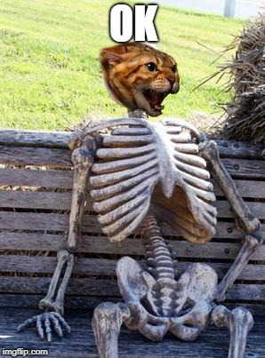 Waiting Skeleton Meme | OK | image tagged in memes,waiting skeleton | made w/ Imgflip meme maker