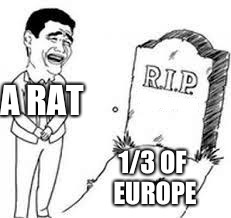 rip x | A RAT; 1/3
OF EUROPE | image tagged in rip x | made w/ Imgflip meme maker