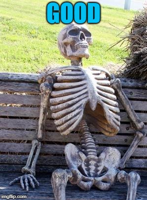 Waiting Skeleton Meme | GOOD | image tagged in memes,waiting skeleton | made w/ Imgflip meme maker