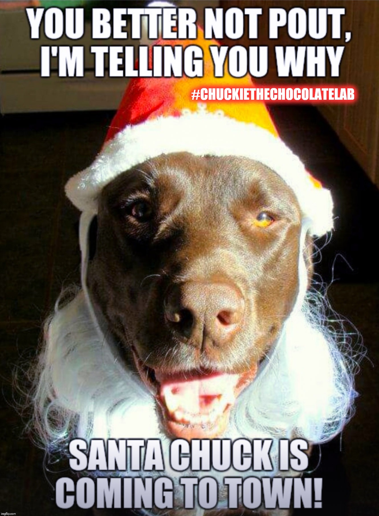 You better not pout | #CHUCKIETHECHOCOLATELAB | image tagged in chuckie the chocolate lab,dogs,funny,santa,christmas,memes | made w/ Imgflip meme maker
