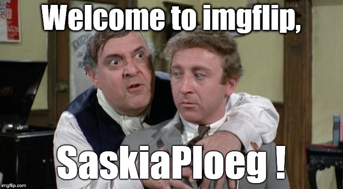 Bialistock & Bloom | Welcome to imgflip, SaskiaPloeg ! | image tagged in bialistock  bloom | made w/ Imgflip meme maker