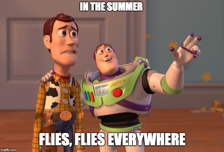 X, X Everywhere Meme | IN THE SUMMER; FLIES, FLIES EVERYWHERE | image tagged in memes,x x everywhere | made w/ Imgflip meme maker