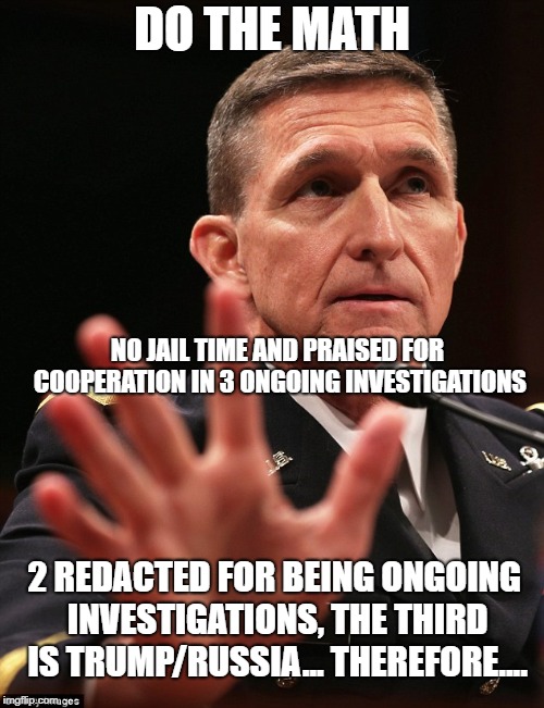 Witch Hunt Over | DO THE MATH; NO JAIL TIME AND PRAISED FOR COOPERATION IN 3 ONGOING INVESTIGATIONS; 2 REDACTED FOR BEING ONGOING INVESTIGATIONS, THE THIRD IS TRUMP/RUSSIA... THEREFORE.... | image tagged in michael flynn | made w/ Imgflip meme maker