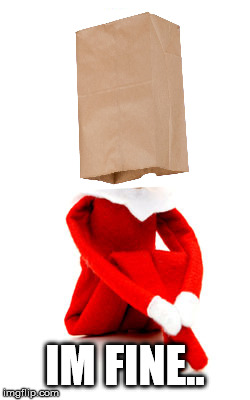 Dont take of that bag.  | IM FINE.. | image tagged in elf on the shelf | made w/ Imgflip meme maker