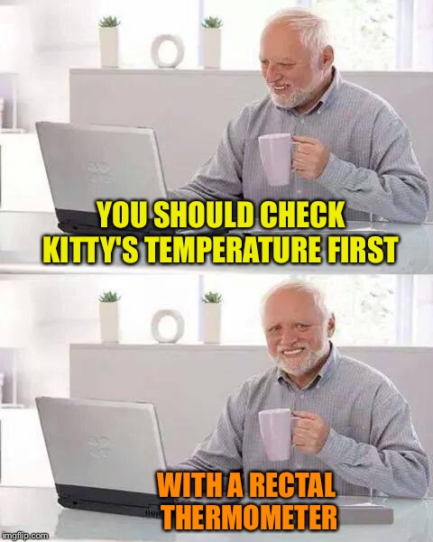 Hide the Pain Harold Meme | YOU SHOULD CHECK KITTY'S TEMPERATURE FIRST WITH A RECTAL THERMOMETER | image tagged in memes,hide the pain harold | made w/ Imgflip meme maker