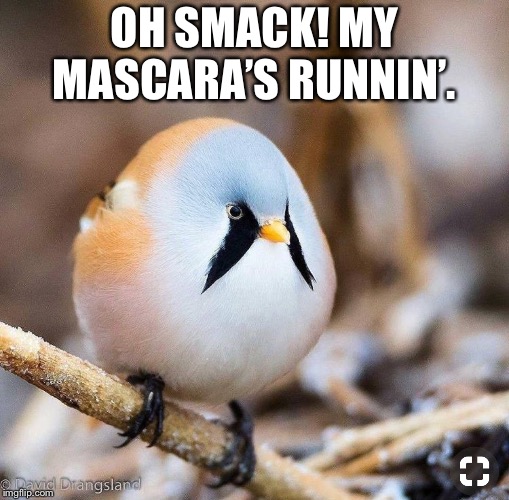 OH SMACK! MY MASCARA’S RUNNIN’. | made w/ Imgflip meme maker