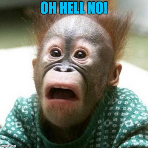 Shocked Monkey | OH HELL NO! | image tagged in shocked monkey | made w/ Imgflip meme maker