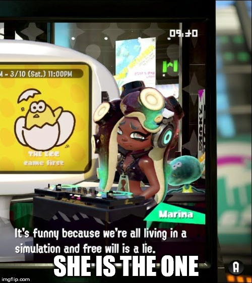 Splatoon 2 Free Will Is A Lie |  SHE IS THE ONE | image tagged in splatoon 2 free will is a lie | made w/ Imgflip meme maker