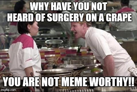 Angry Chef Gordon Ramsay | WHY HAVE YOU NOT HEARD OF SURGERY ON A GRAPE; YOU ARE NOT MEME WORTHY!! | image tagged in memes,angry chef gordon ramsay | made w/ Imgflip meme maker