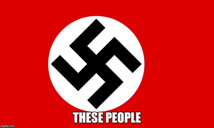nazi flag | THESE PEOPLE | image tagged in nazi flag | made w/ Imgflip meme maker