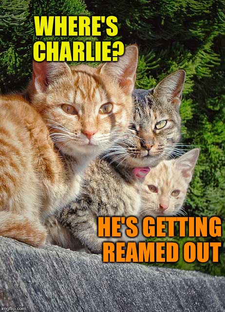 WHERE'S CHARLIE? HE'S GETTING REAMED OUT | made w/ Imgflip meme maker