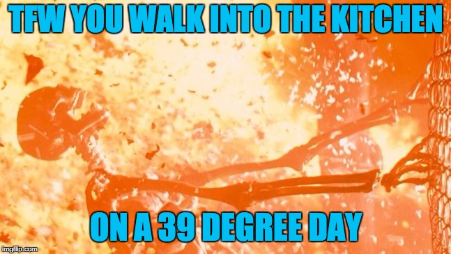 Heatwave | TFW YOU WALK INTO THE KITCHEN; ON A 39 DEGREE DAY | image tagged in heatwave | made w/ Imgflip meme maker