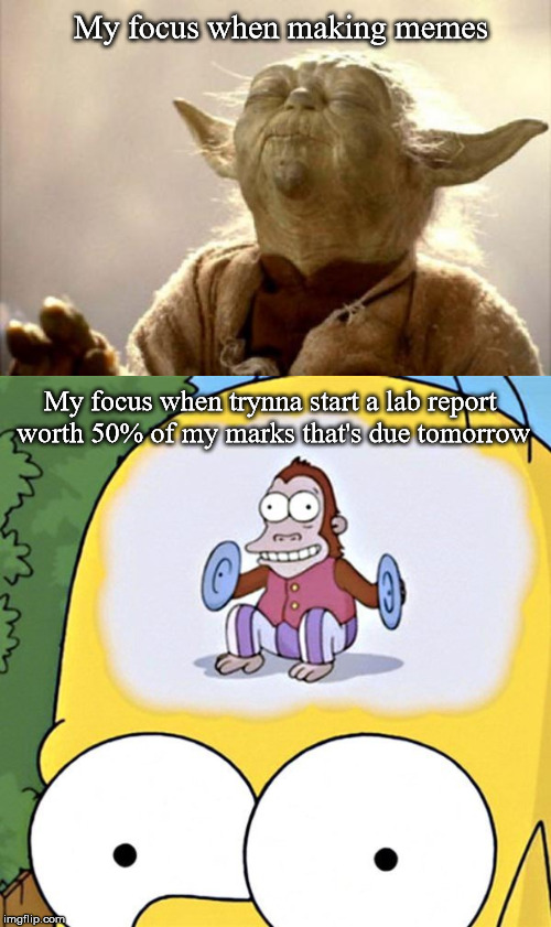 My focus when making memes; My focus when trynna start a lab report worth 50% of my marks that's due tomorrow | image tagged in yoda smell | made w/ Imgflip meme maker