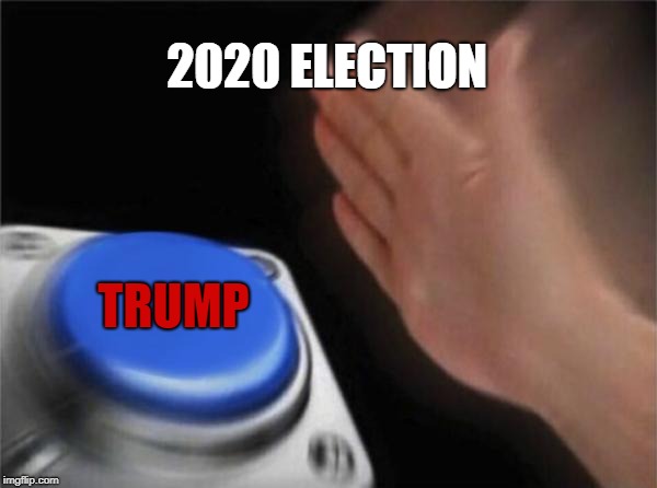 Blank Nut Button | 2020 ELECTION; TRUMP | image tagged in memes,blank nut button | made w/ Imgflip meme maker