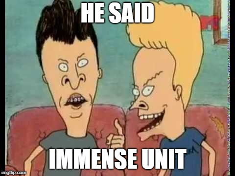 Beavis & Butt-Head he said | HE SAID; IMMENSE UNIT | image tagged in beavis  butt-head he said | made w/ Imgflip meme maker