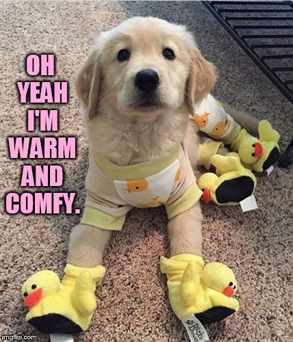 OH YEAH I'M WARM AND COMFY. | made w/ Imgflip meme maker