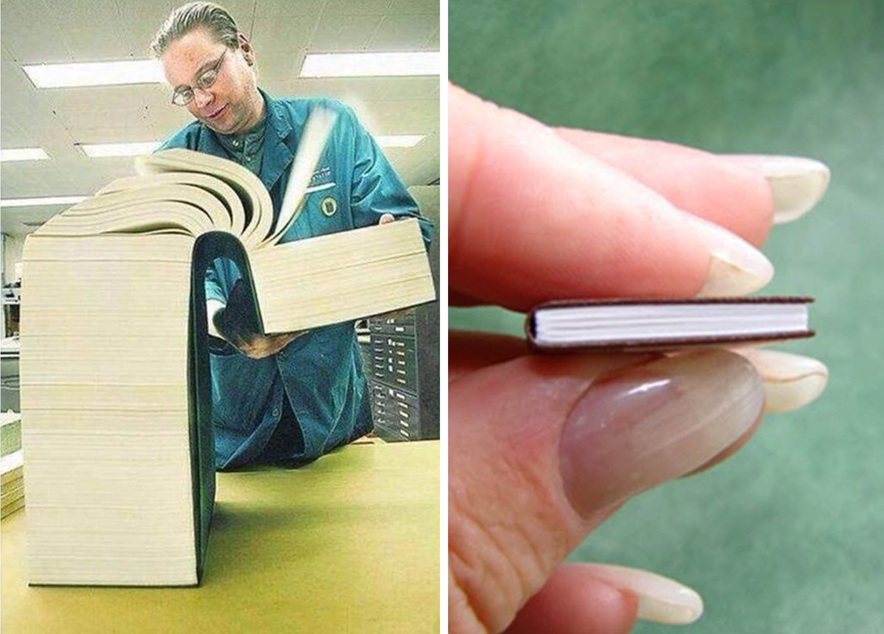 High Quality Big book little book Blank Meme Template