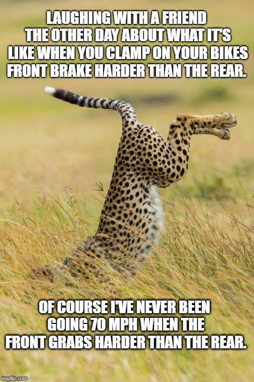 Cheetah Face Plant | LAUGHING WITH A FRIEND THE OTHER DAY ABOUT WHAT IT'S LIKE WHEN YOU CLAMP ON YOUR BIKES FRONT BRAKE HARDER THAN THE REAR. OF COURSE I'VE NEVER BEEN GOING 70 MPH WHEN THE FRONT GRABS HARDER THAN THE REAR. | image tagged in wildlife | made w/ Imgflip meme maker